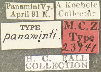 Media type: image;   Entomology 23941 Aspect: labels